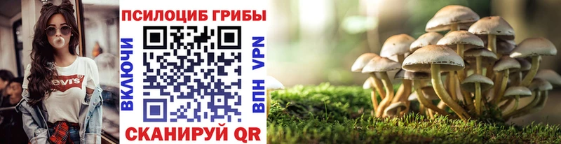 Купить закладки  Южноуральск  Псилоцибиновые грибы ЛСД 